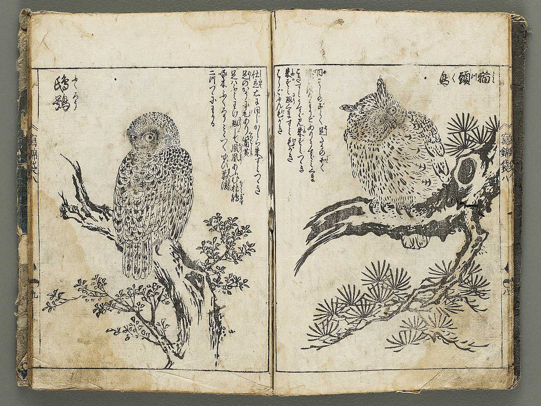 Ehon shaho bukuro Volume 8 by Tachibana Yuzei / BJ332-773