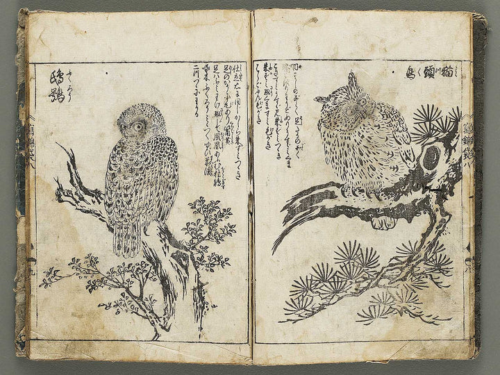 Ehon shaho bukuro Volume 8 by Tachibana Yuzei / BJ332-773
