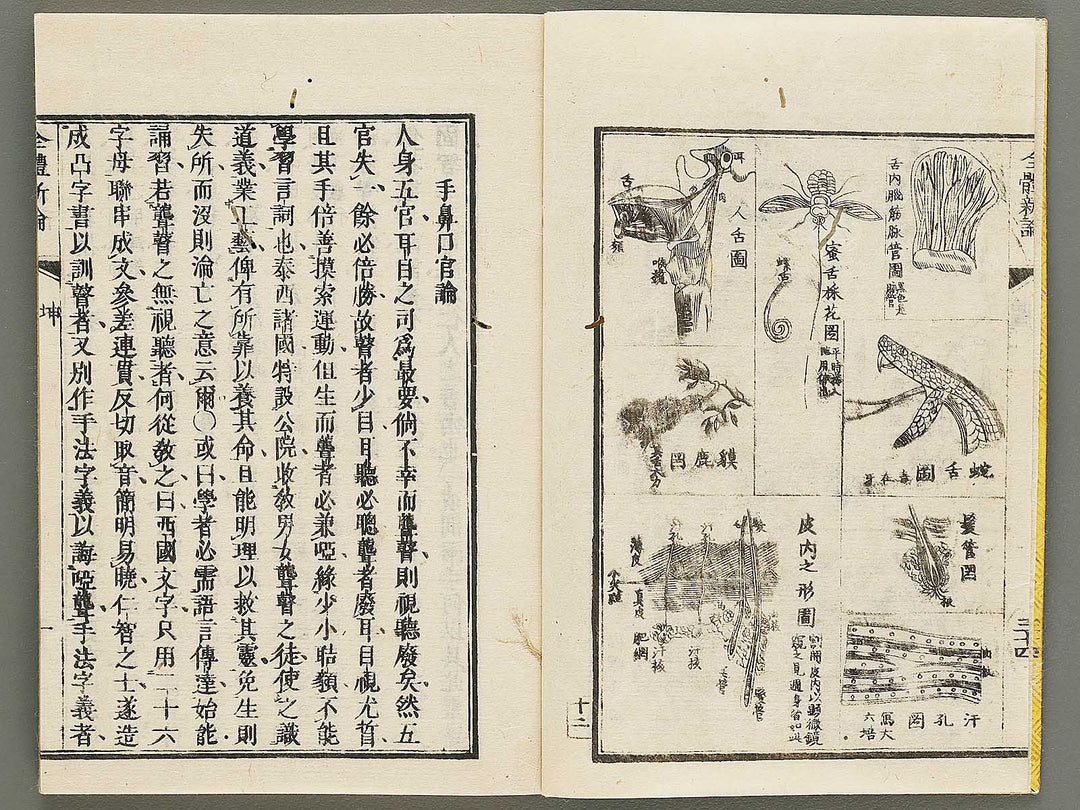 Zentai shinron Kon (Part 2 of 2) / BJ325-353