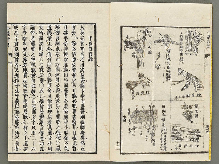 Zentai shinron Kon (Part 2 of 2) / BJ325-353