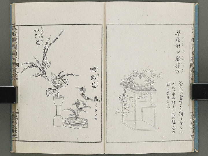 Shoryu hiden ikebana dokushu jizai Volume 4 / BJ332-759