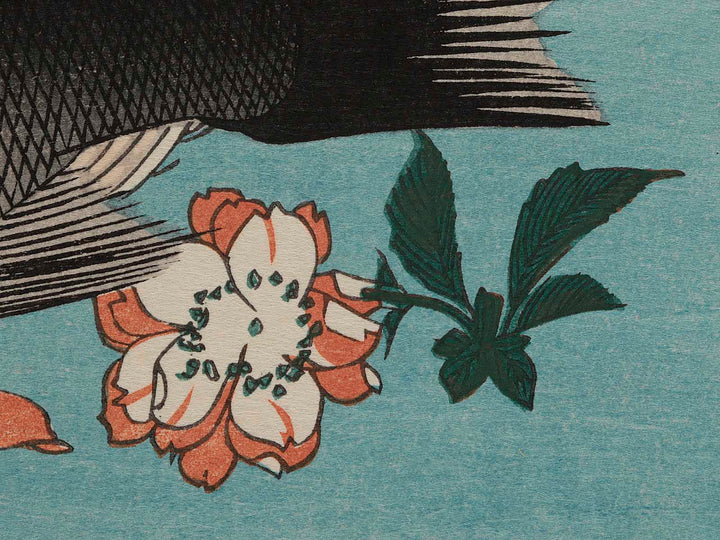 Halibut, Rockfish & Cherry Blossoms from the series the series FISH by Utagawa Hiroshige, (Large print size) / BJ234-997