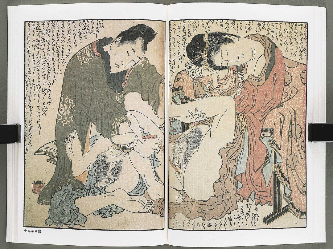 Ezoshi Konoe no komatsu Volume 3 by Katsushika Hokusai / BJ346-437