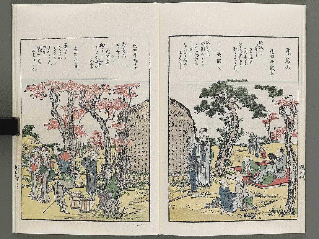 Toto shokei ichiran (Jo) by Katsushika Hokusai / BJ341-180