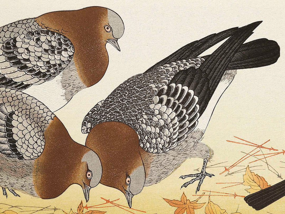 A flock of sparrows and Dove from the series Momochidori kyokaawase by Kitagawa Utamaro, (Large print size) / BJ328-055