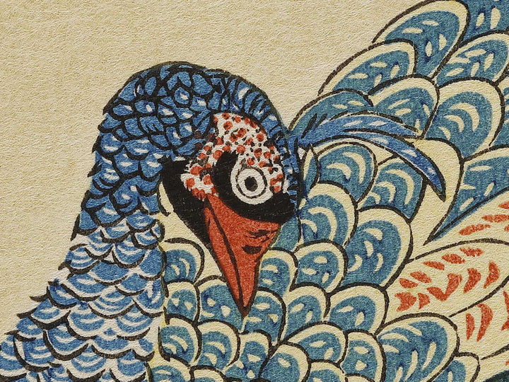 Paeony & Peacock by Utagawa Hiroshige, (Medium print size) / BJ328-181