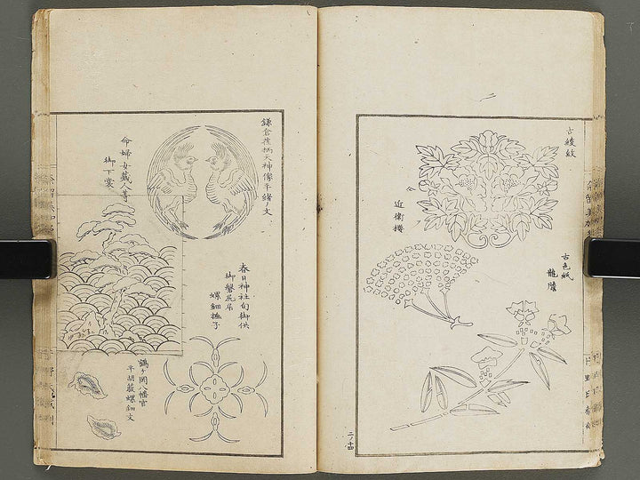 Narumikata Volume 2 by Odagiri Shunko / BJ321-405