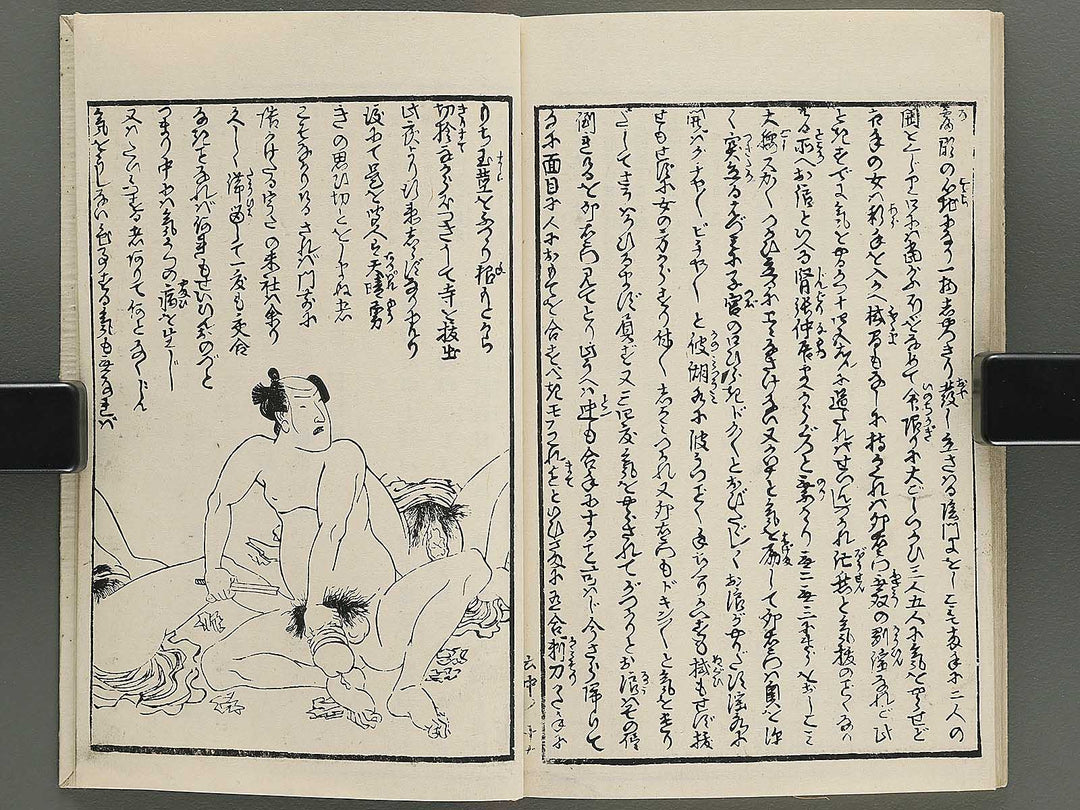 Insho kaiko ki Volume 6, (Chu) by Utagawa Yoshikazu / BJ345-786