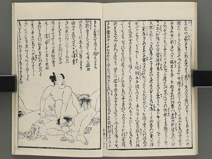 Insho kaiko ki Volume 6, (Chu) by Utagawa Yoshikazu / BJ345-786