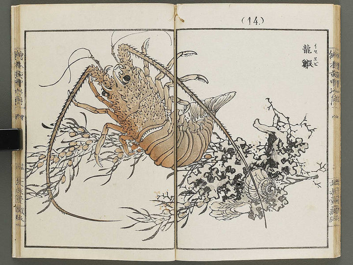 Ehon inaka no tsuki Setsu by Kono Bairei / BJ341-222