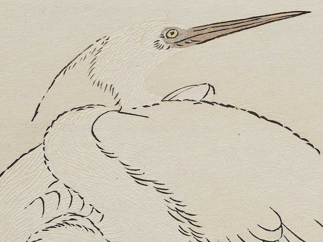 Cormorant and Heron from the series Momochidori kyoka awase by Kitagawa Utamaro, (Large print size) / BJ328-041