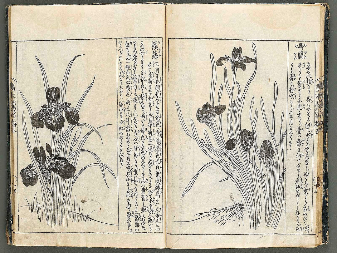 Ehon oushukubai Volume 5 by Tachibana Morikuni / BJ327-691