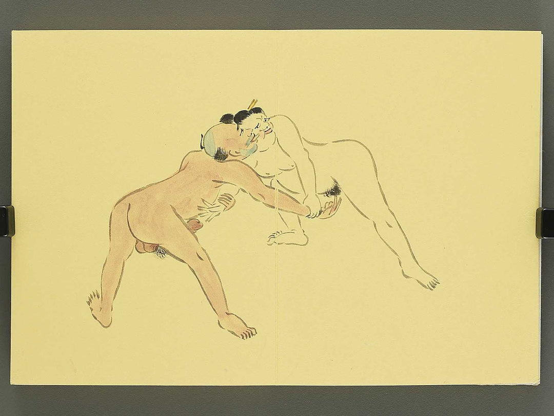Shunga / BJ350-525