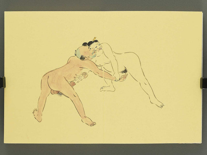 Shunga / BJ350-525