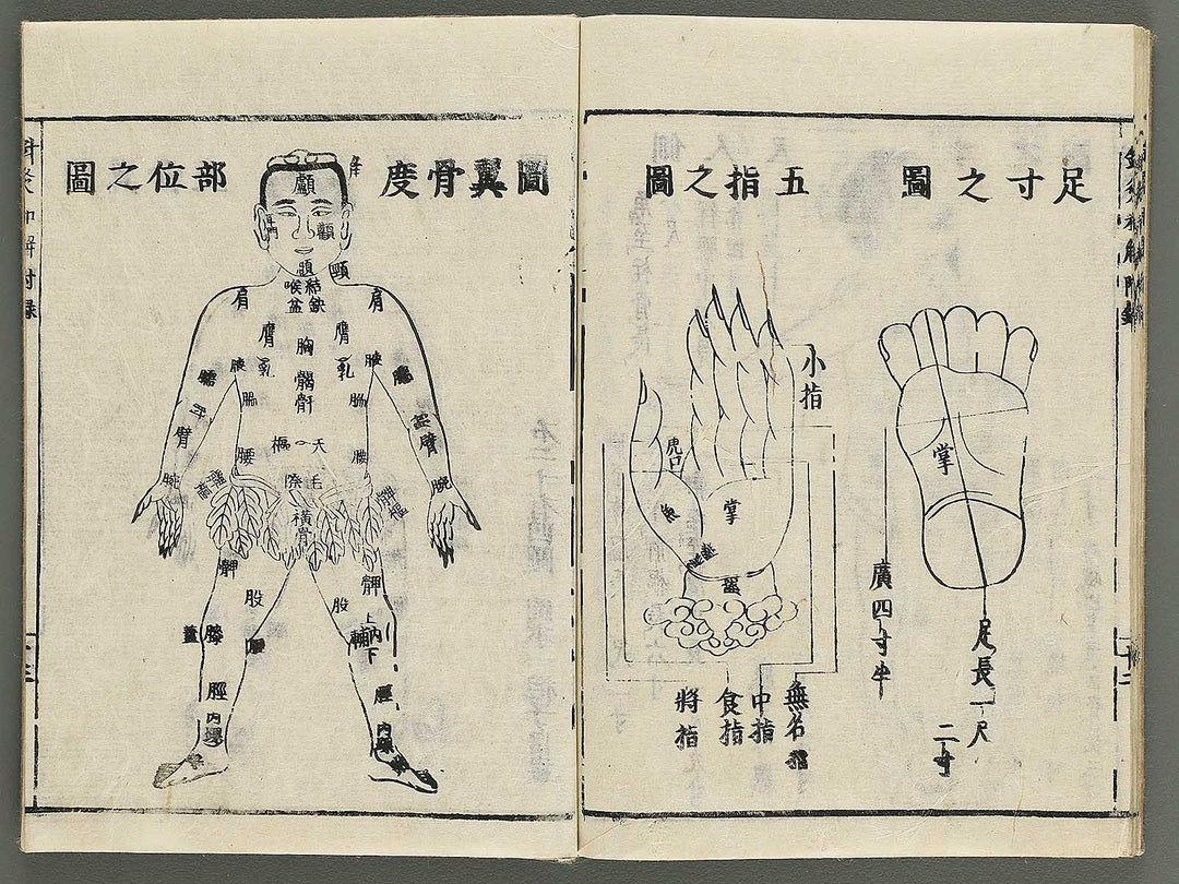 Shikyu wage (furoku) by Okamoto Ippo / BJ347-459