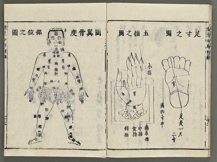 Shikyu wage (furoku) by Okamoto Ippo / BJ347-459