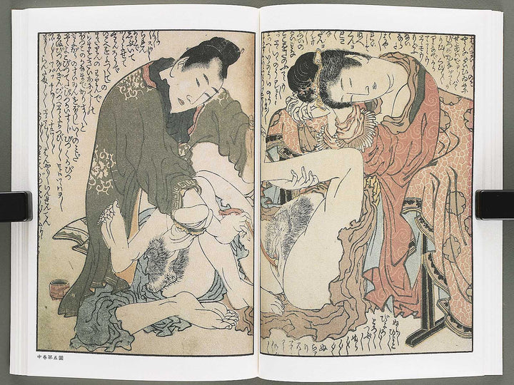 Ezoshi Konoe no komatsu Volume 3 by Katsushika Hokusai / BJ346-437