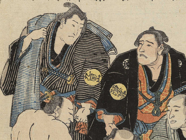 Rikishi / BJ351-855