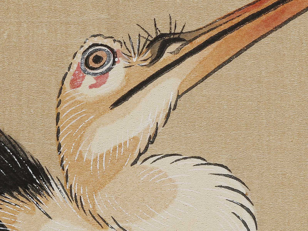 Konotori by Katsushika Hokusai, (Medium print size) / BJ324-975