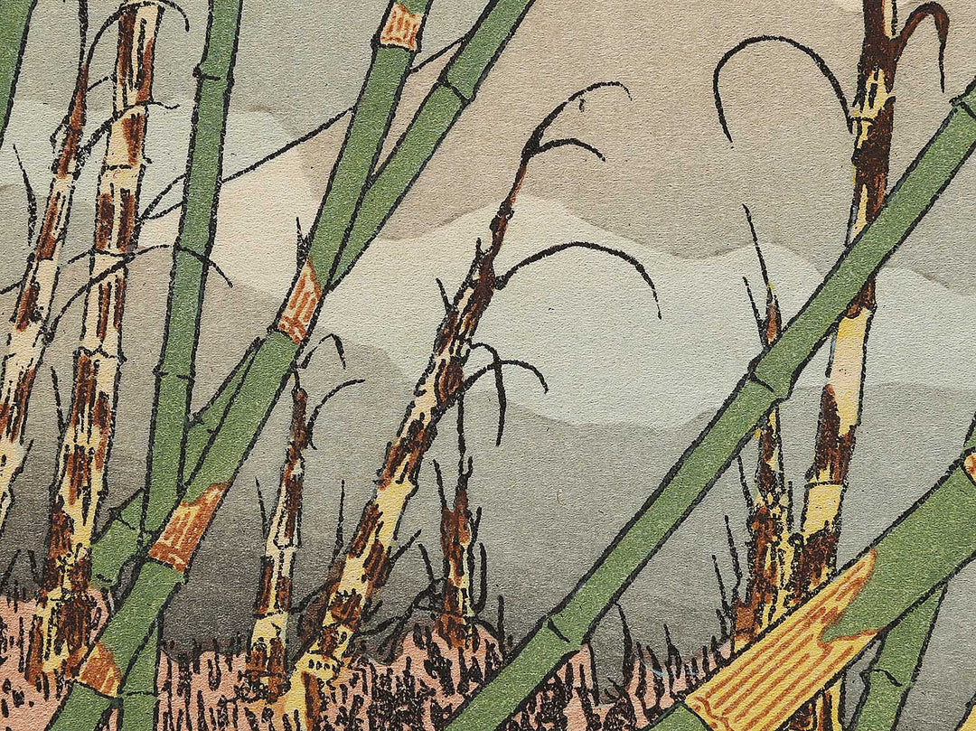 Chikurin no fuji from the series One Hundred Views of Mount Fuji by Katsushika Hokusai, (Medium print size) / BJ321-783