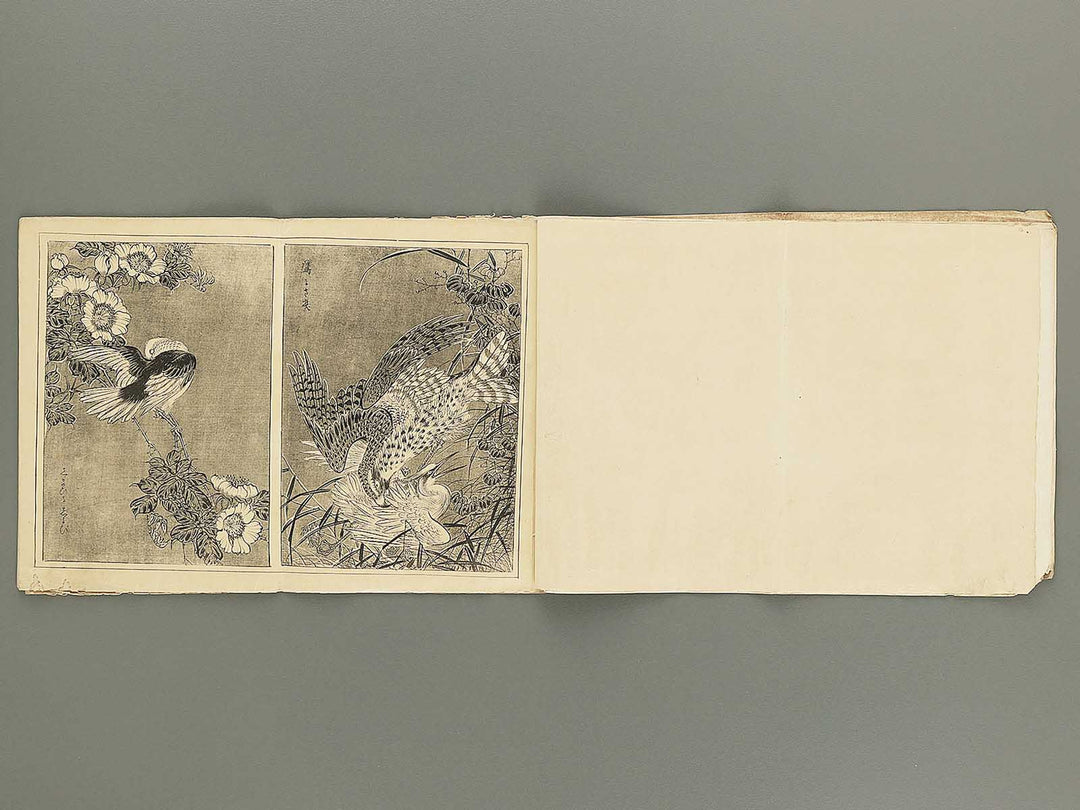 Isho hakuran Dai 3nen 5kan by Tanaka Yuho / BJ353-332