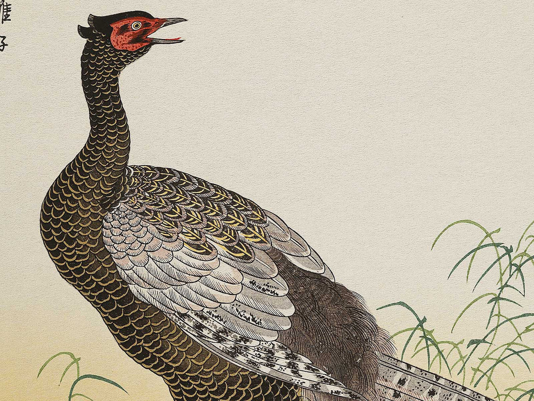 Swallow and Pheasant from the series Momochidori kyoka awase by Kitagawa Utamaro, (Large print size) / BJ327-964