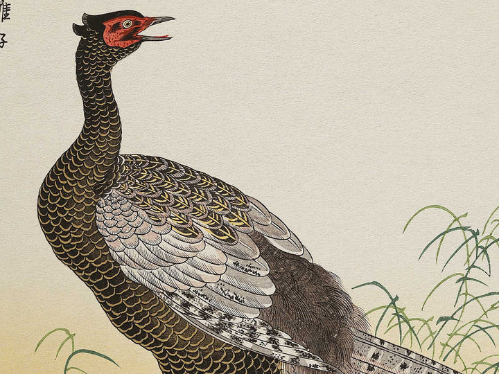 Swallow and Pheasant from the series Momochidori kyoka awase by Kitagawa Utamaro, (Large print size) / BJ327-964