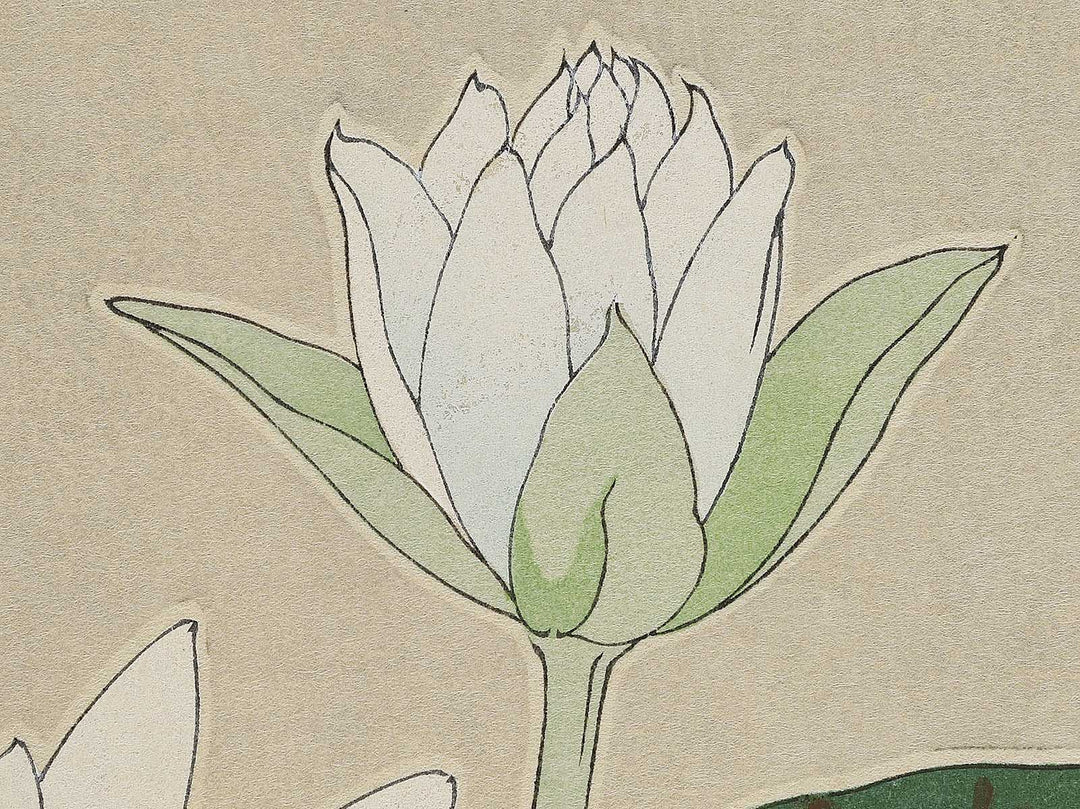 Suiren by Kawarazaki Shodo, (Large print size) / BJ346-283