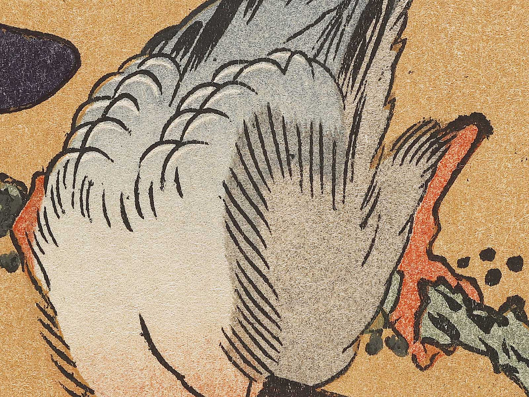 Buncho kobushi no hana by Katsushika Hokusai, (Large print size) / BJ331-674