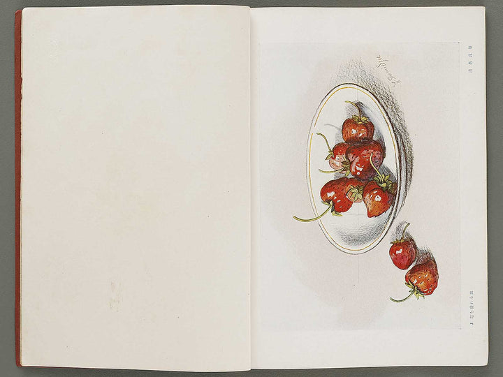 Joshi jitsuyo zuga Volume 2 / BJ330-883