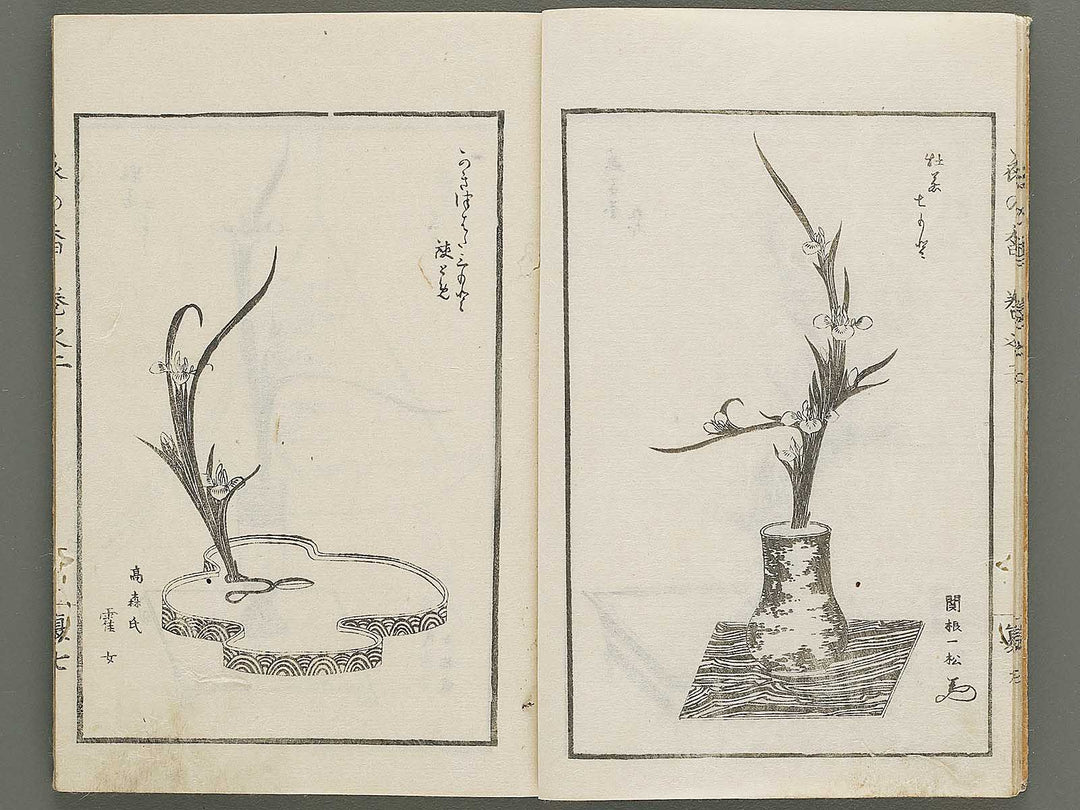 Soka koromonoka Volume 2 by Hishikawa Sori / BJ335-174