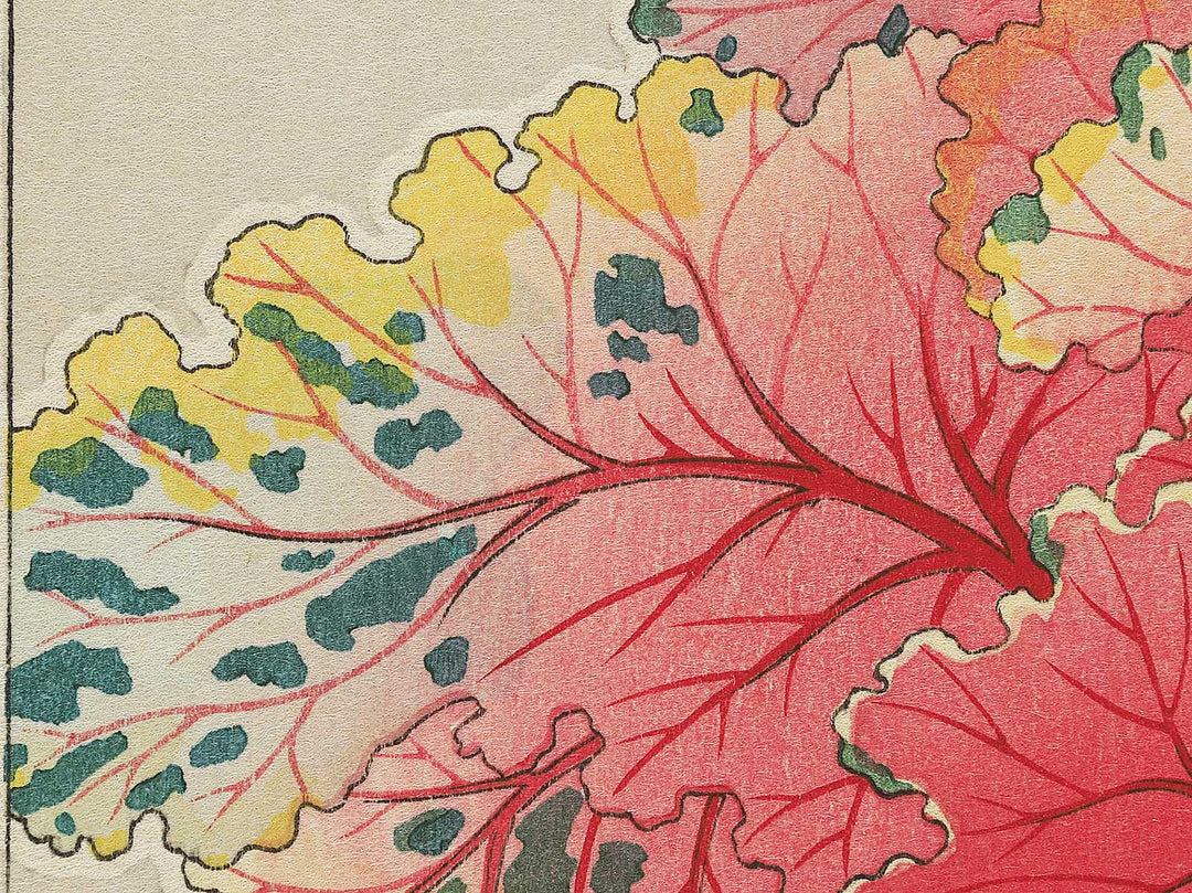 Habotan by Kawarazaki Shodo, (Large print size) / BJ346-269