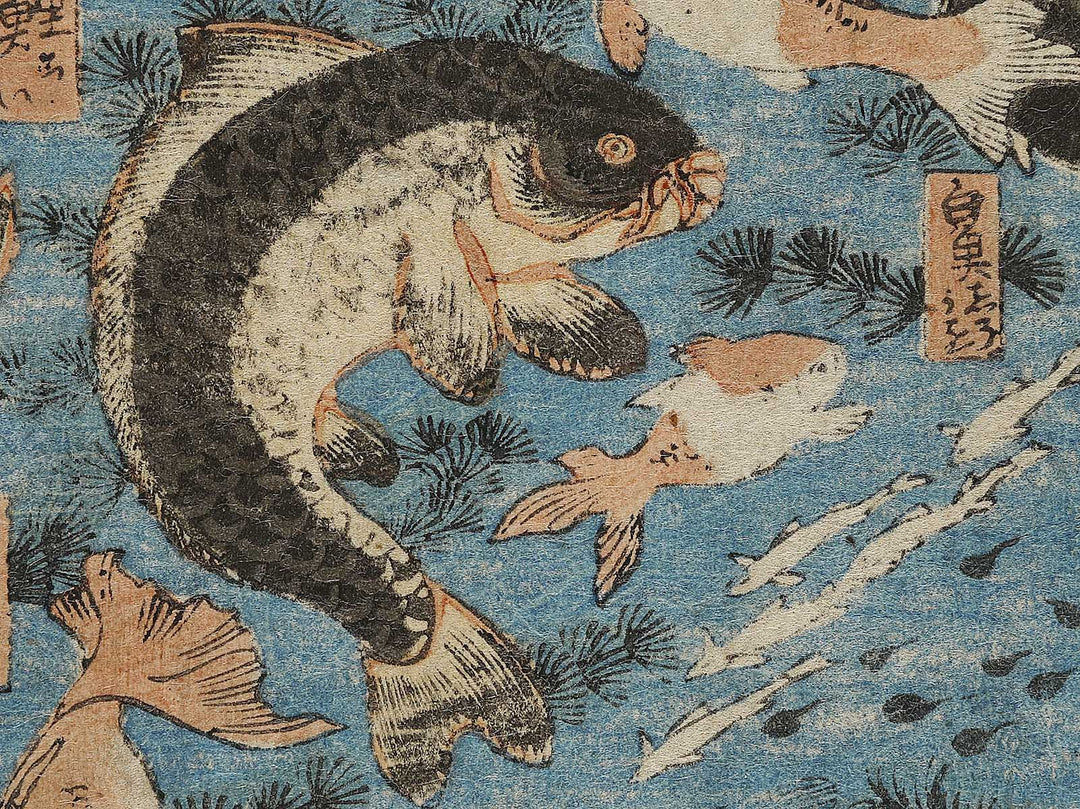 Sakana zukushi / BJ325-836