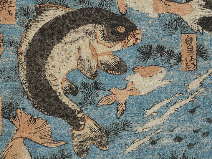 Sakana zukushi / BJ325-836