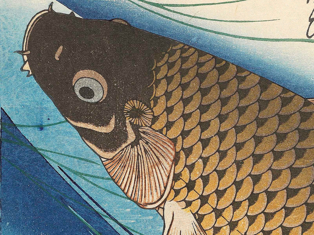 Japanese Carp from the series the series fish by Utagawa Hiroshige, (Large print size) / BJ322-819