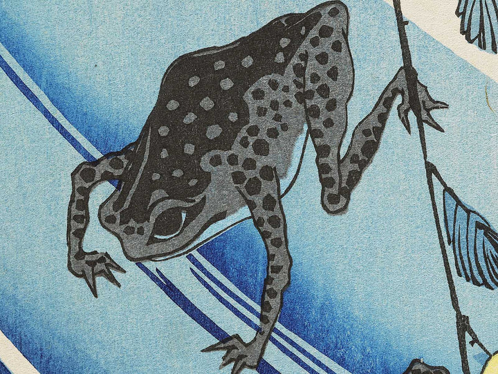 Japanese mountain rose and frog by Utagawa Hiroshige, (Medium print size) / BJ328-069