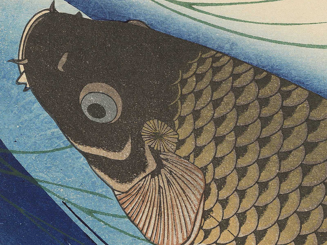 Japanese Carp from the series the series fish by Utagawa Hiroshige, (Large print size) / BJ350-224