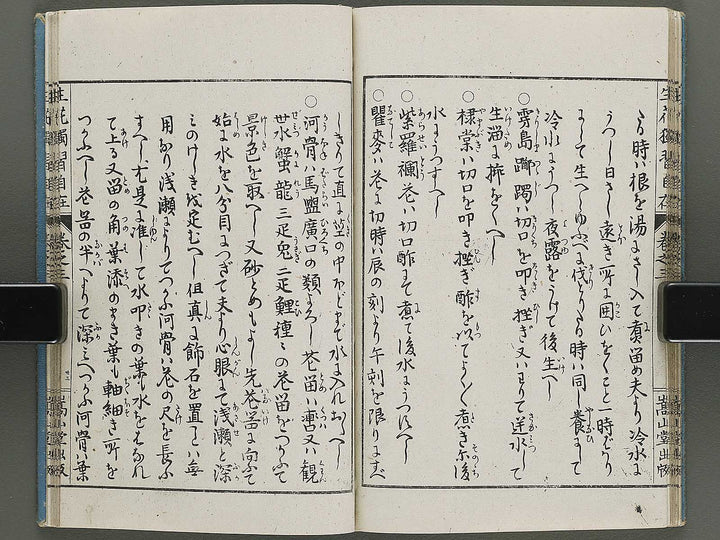 Shoryu hiden ikebana dokushu jizai Volume 3 / BJ332-752