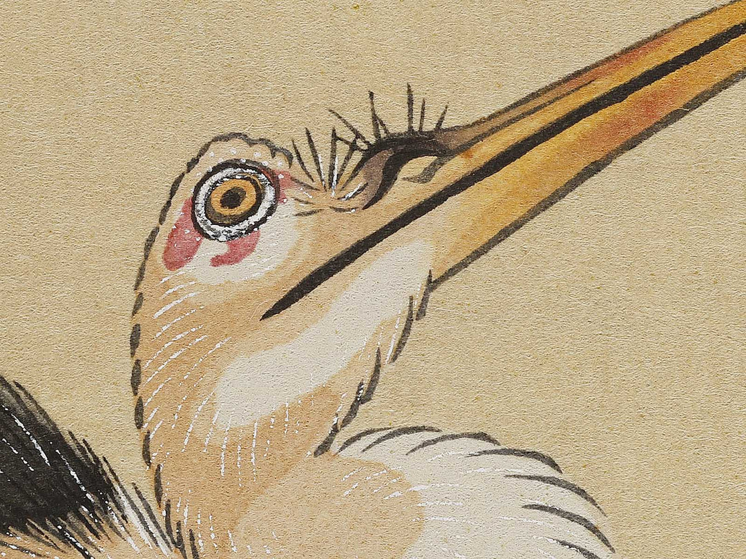 Konotori by Katsushika Hokusai / BJ321-650