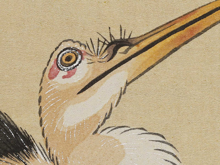 Konotori by Katsushika Hokusai / BJ321-650