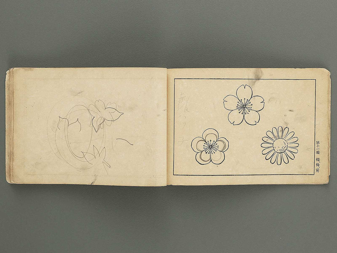 Koto shogaku mohitsuga tehon / BJ349-349