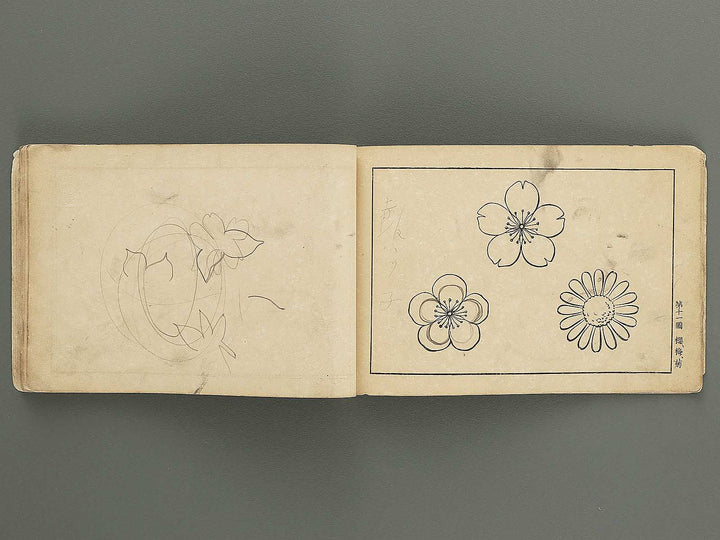 Koto shogaku mohitsuga tehon / BJ349-349