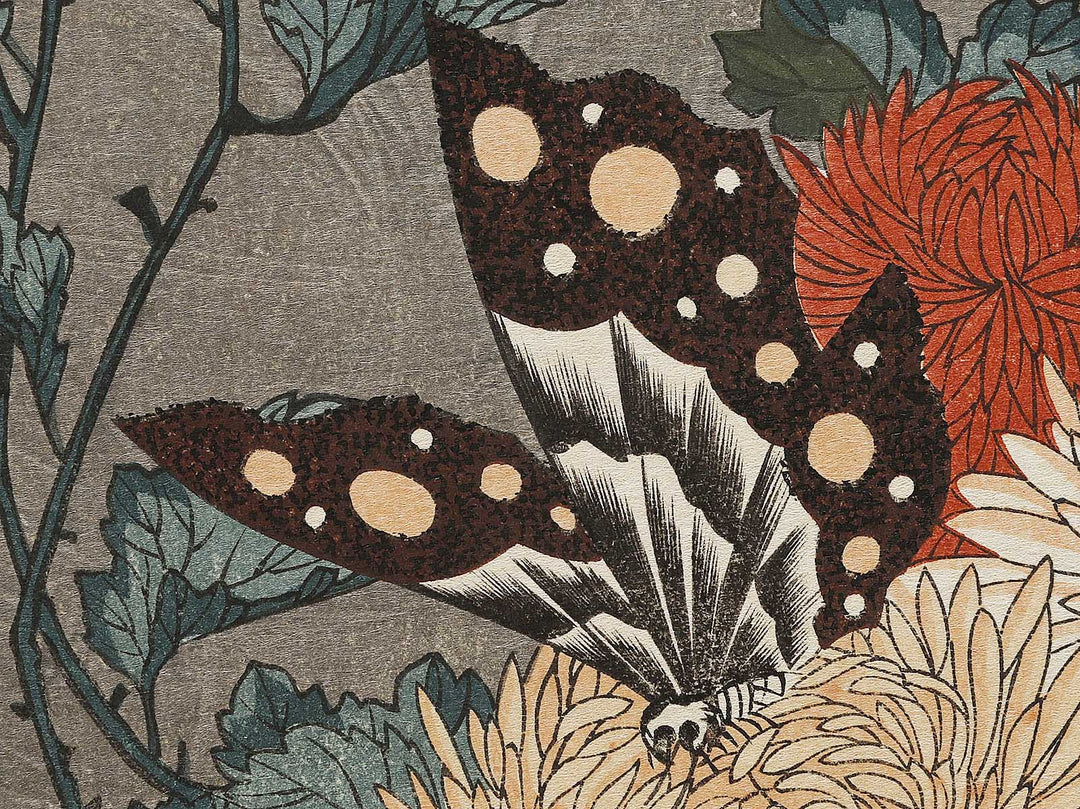 Kiku ni cho by Utagawa Hiroshige, (Large print size) / BJ324-737