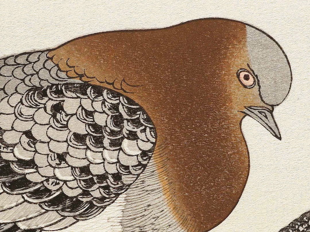 A flock of sparrows and Dove from the series Momochidori kyokaawase by Kitagawa Utamaro, (Large print size) / BJ328-055