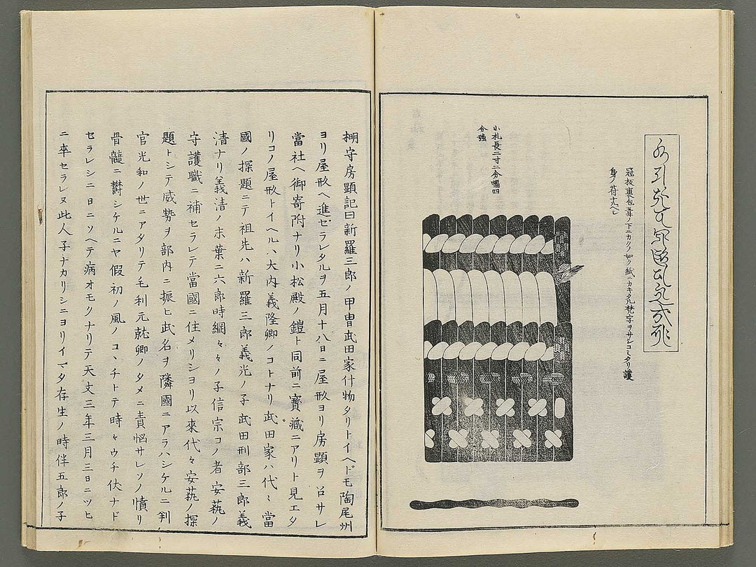 Itsukushima zue (Homotsu no bu) by Yamano Shunbosai / BJ345-268