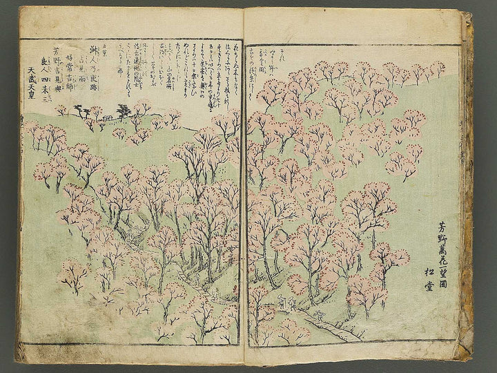 Shinsen dainihon eitai setsuyo mujinzo by Matsukawa Hanzan / BJ345-191