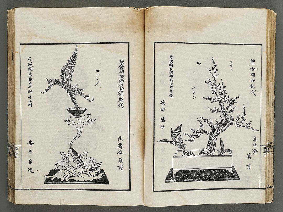 Kinen soka sanko no kaori (Ge) by Sawamura Riho / BJ324-688