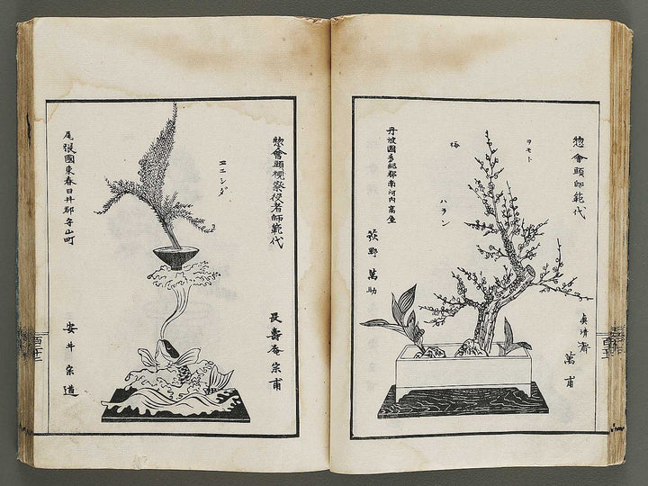 Kinen soka sanko no kaori (Ge) by Sawamura Riho / BJ324-688