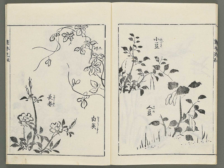 Korin michishirube by Nonomura Chube / BJ351-141