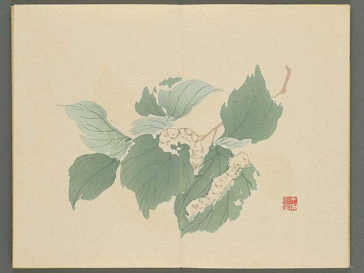 Chinzan gafu (Jo) by Tsubaki Chinzan / BJ345-170